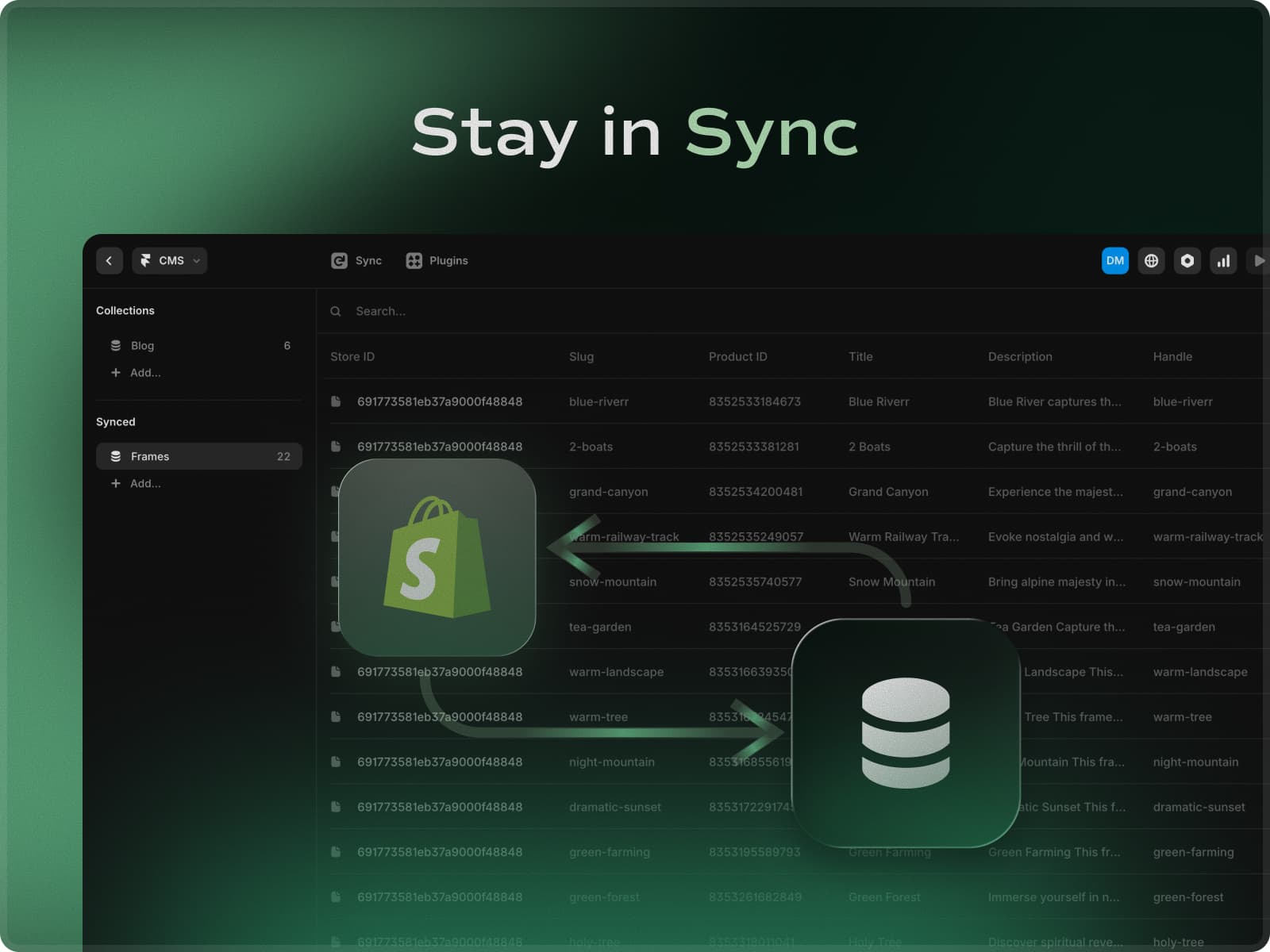 Framerfy — Design Shopify Store in Framer - Image 4