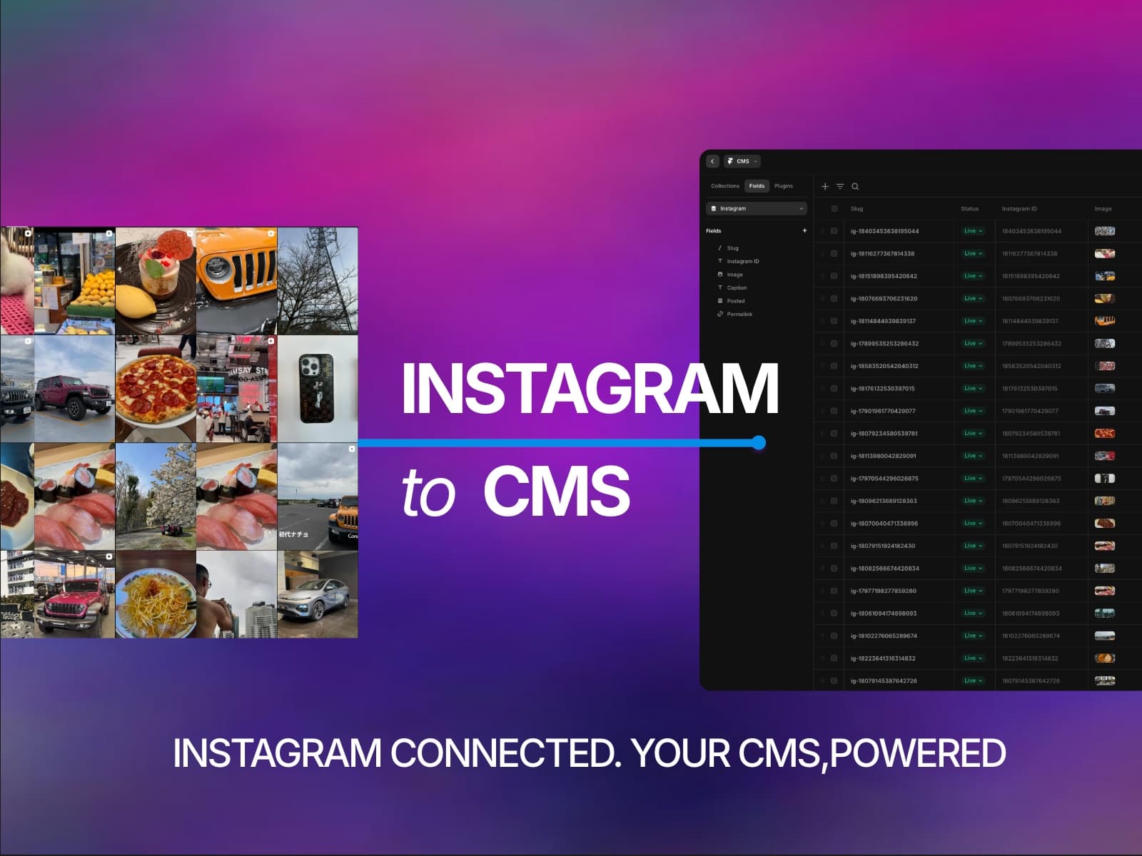 Instagram to CMS — Instagram to CMS, on autopilot