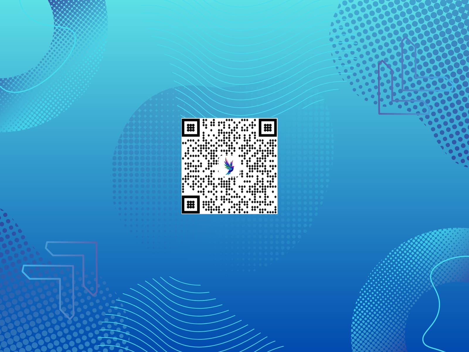 SnapQR — Beautiful, Branded QR Codes - Image 4